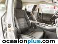 Lexus NX 300 300h Business Navigation 2WD Blanco - thumbnail 19