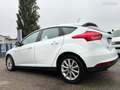 Ford Focus 1.0 ECOBOOST 125CH STOP&START TITANIUM Blanc - thumbnail 8