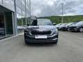 Skoda Karoq 1.5 TSI ACT Selection DSG LED Navi Park und Winter Gris - thumbnail 17