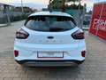 Ford Puma 1.5 EcoBlue 120CV S&S Titanium Bianco - thumbnail 5