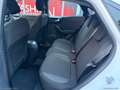 Ford Puma 1.5 EcoBlue 120CV S&S Titanium Bianco - thumbnail 14