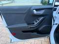 Ford Puma 1.5 EcoBlue 120CV S&S Titanium Bianco - thumbnail 7