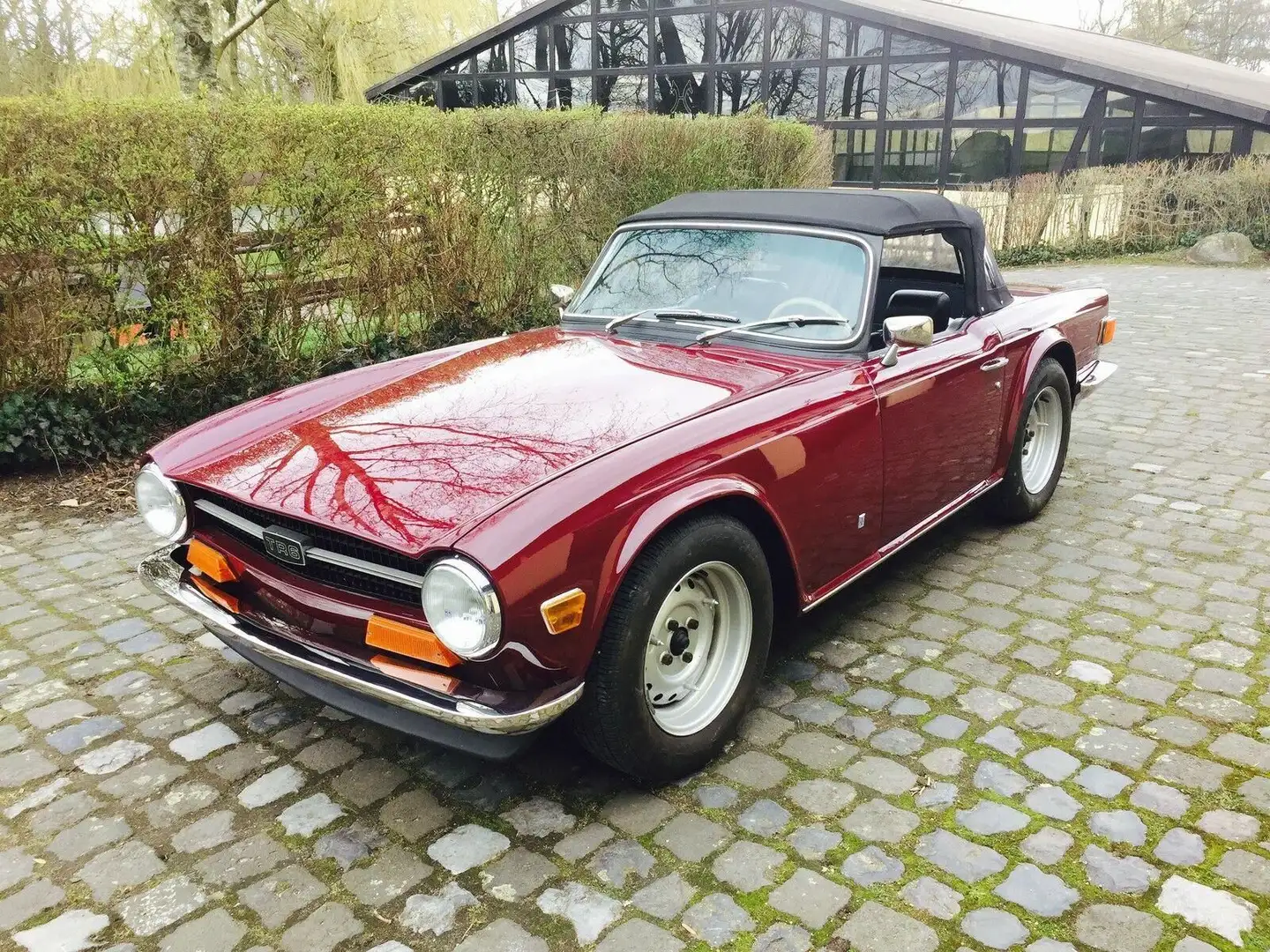 Triumph TR6 Weber Doppelvergaser Edelstahl-Sportauspuff Violett - 1