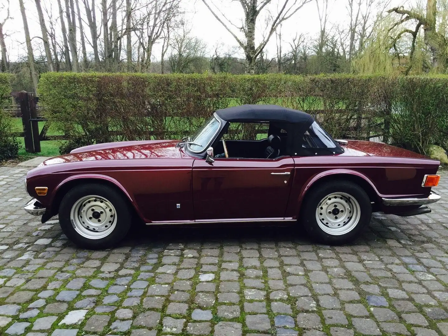 Triumph TR6 Weber Doppelvergaser Edelstahl-Sportauspuff Violett - 2