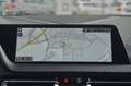 BMW 120 d xDrive Hatch M Sport HK HiFi DAB LED WLAN Grau - thumbnail 19