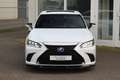 Lexus ES 300 300h F-Sport Premium I Mark Lev. I Open dak I Appl Wit - thumbnail 4