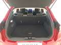 Ford Puma 1.5 ecoblue titanium s&s 120cv Rouge - thumbnail 9