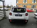 Jeep Renegade 1.0 T3 120CV LONGITUDE - KM ZERO ITALIANA Rood - thumbnail 5