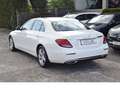 Mercedes-Benz E 220 d Avantgarde (SHD LED Headup Spur Shz Park Weiß - thumbnail 14