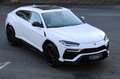 Lamborghini Urus 4.0 1.Hand/Pano/Massage/B&O/HuD/Maintenance Білий - thumbnail 1