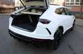 Lamborghini Urus 4.0 1.Hand/Pano/Massage/B&O/HuD/Maintenance Білий - thumbnail 4