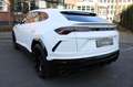 Lamborghini Urus 4.0 1.Hand/Pano/Massage/B&O/HuD/Maintenance Білий - thumbnail 3