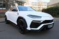 Lamborghini Urus 4.0 1.Hand/Pano/Massage/B&O/HuD/Maintenance Білий - thumbnail 6