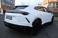 Lamborghini Urus 4.0 1.Hand/Pano/Massage/Bang&Olufsen/HuD Weiß - thumbnail 5