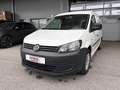 Volkswagen Caddy MAXI Kastenwagen 1,6 TDI *MwSt. ausweisbar* Weiß - thumbnail 1