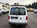 Volkswagen Caddy Nfz Kasten BMT Weiß - thumbnail 8