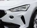 CUPRA Formentor 2.0 TSI 4Drive (EURO6d) NAVI KAMERA Weiß - thumbnail 15