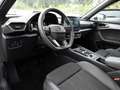 CUPRA Formentor 2.0 TSI 4Drive NAVI KAMERA LED SHZ Weiß - thumbnail 13