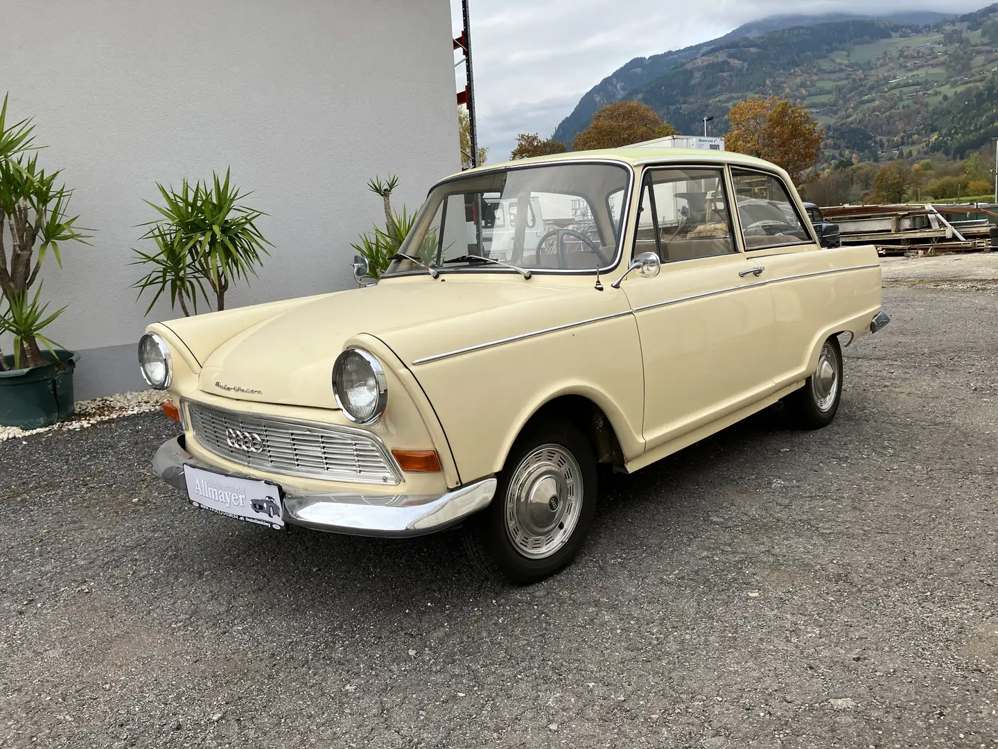 Sonstige Marken Auto Union Typ DKW F11 Beige - 1