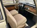 Sonstige Marken Auto Union Typ DKW F11 Beige - thumbnail 12
