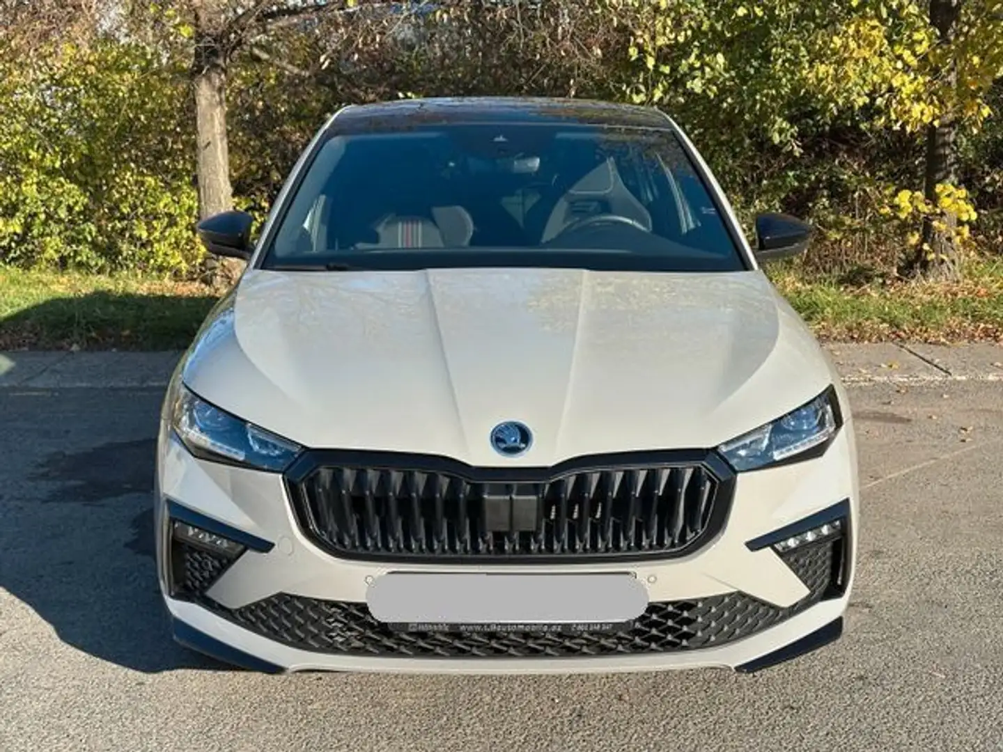 Skoda Scala 1.5 TSI ACT DSG Monte Carlo NAVI LED Grau - 1