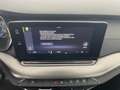 Skoda Octavia Ambition TDI Grau - thumbnail 17