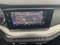 Skoda Octavia Ambition TDI Grau - thumbnail 18