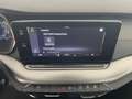 Skoda Octavia Ambition TDI Grau - thumbnail 19