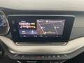 Skoda Octavia Ambition TDI Grau - thumbnail 20
