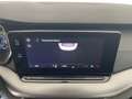 Skoda Octavia Ambition TDI Grau - thumbnail 16