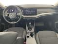 Skoda Octavia Ambition TDI Grau - thumbnail 25