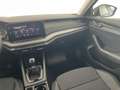 Skoda Octavia Ambition TDI Grau - thumbnail 26