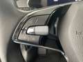 Skoda Octavia Ambition TDI Grau - thumbnail 14