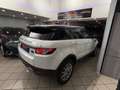 Land Rover Range Rover Evoque Range Rover Evoque 2.2 TD4 5p. Prestige Blanc - thumbnail 12
