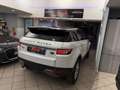 Land Rover Range Rover Evoque Range Rover Evoque 2.2 TD4 5p. Prestige Blanc - thumbnail 13