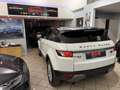 Land Rover Range Rover Evoque Range Rover Evoque 2.2 TD4 5p. Prestige Blanc - thumbnail 11