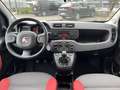 Fiat Panda 1.2 easypower Easy Gpl 69cv E6 Wit - thumbnail 8