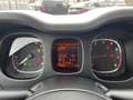Fiat Panda 1.2 easypower Easy Gpl 69cv E6 Wit - thumbnail 9