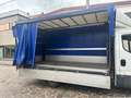 Iveco Daily Bianco - thumbnail 6