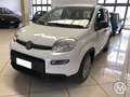 Fiat Panda Panda 1.0 firefly hybrid s Bianco - thumbnail 1