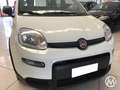 Fiat Panda Panda 1.0 firefly hybrid s Bianco - thumbnail 5