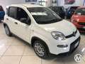 Fiat Panda Panda 1.0 firefly hybrid s Bianco - thumbnail 4