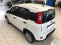 Fiat Panda Panda 1.0 firefly hybrid s Bianco - thumbnail 2