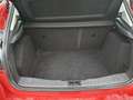 Ford Focus Focus 1.6 TI-VCT Aut. Trend Rot - thumbnail 20