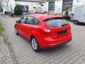 Ford Focus Focus 1.6 TI-VCT Aut. Trend Rot - thumbnail 6