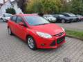Ford Focus Focus 1.6 TI-VCT Aut. Trend Rot - thumbnail 3