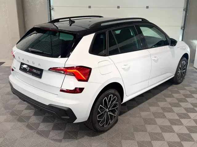 Skoda Kamiq view 11