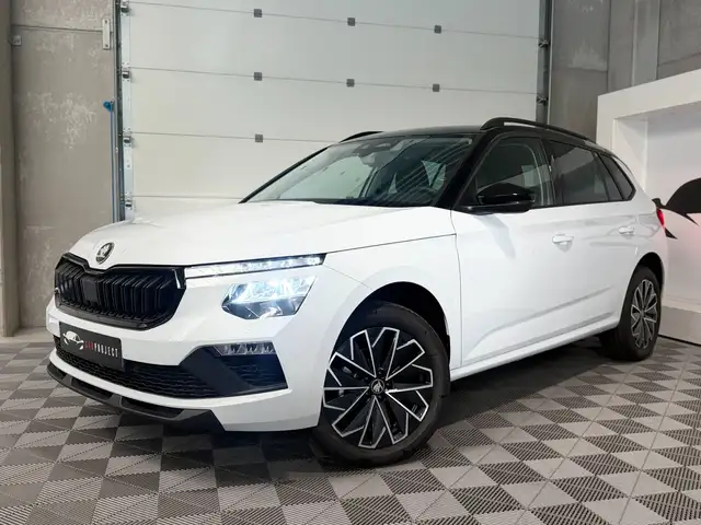 Skoda Kamiq view 2