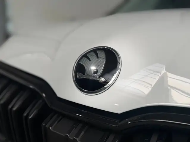 Skoda Kamiq view 8