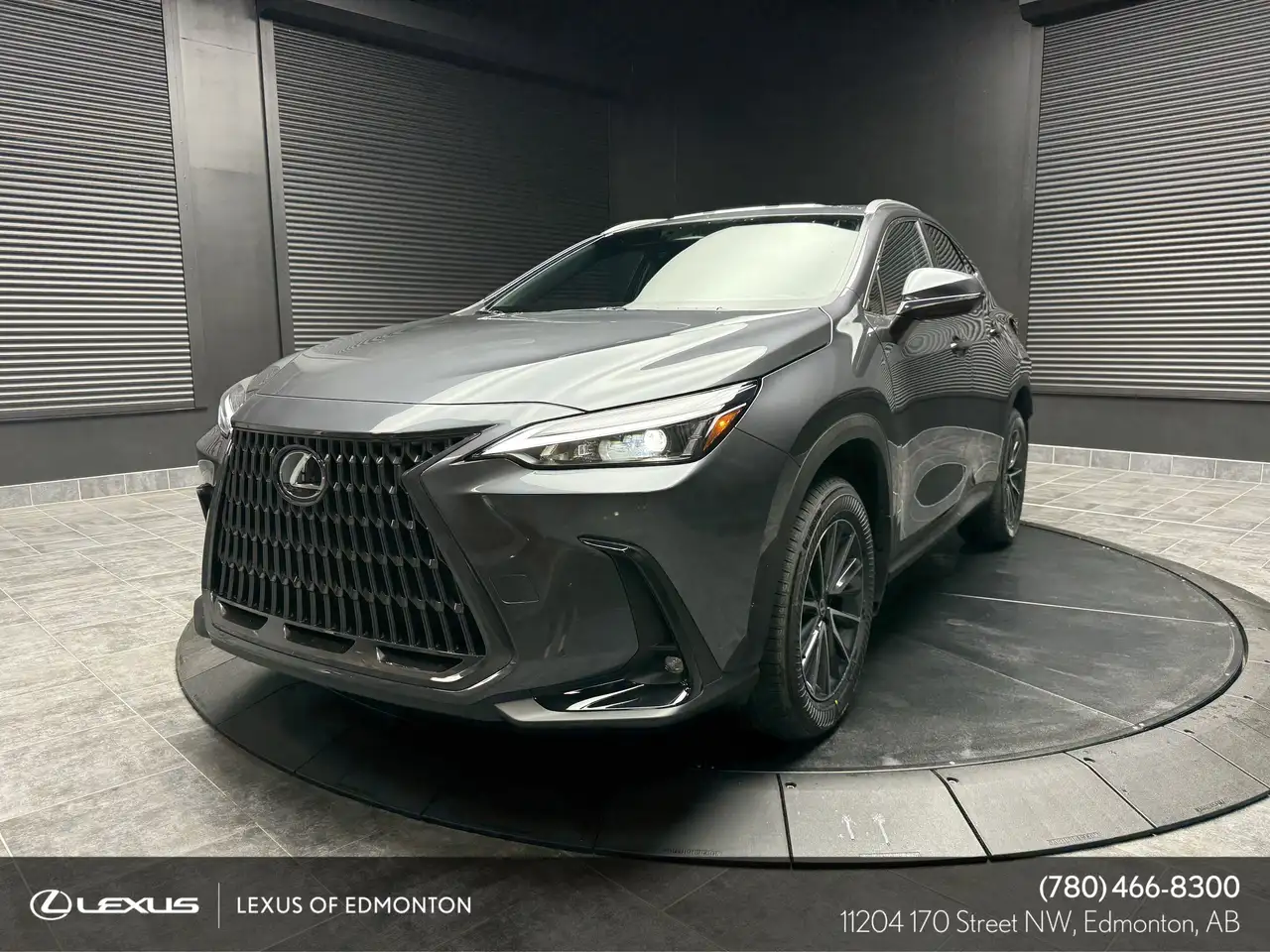2026 Lexus NX